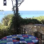 Figarola * روفينج